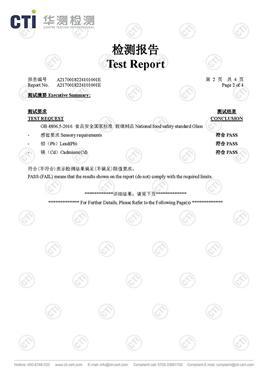 Informe de ensayo CTI