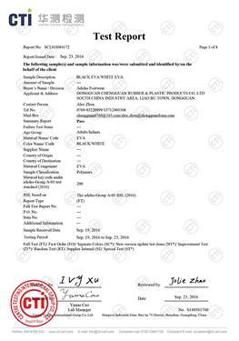 Informe de ensayo ambiental EVA blanco y negro